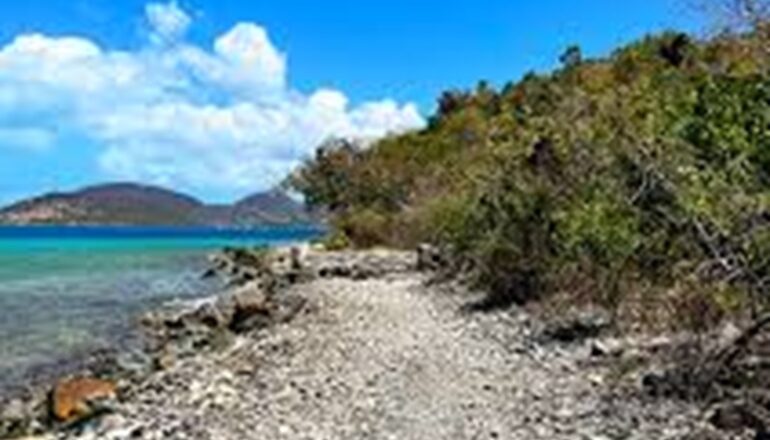 Leinster Bay St. John